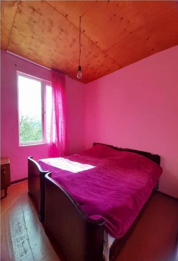 Guest House Malkhaz Niguriani Zhabeshi Eksteriør billede