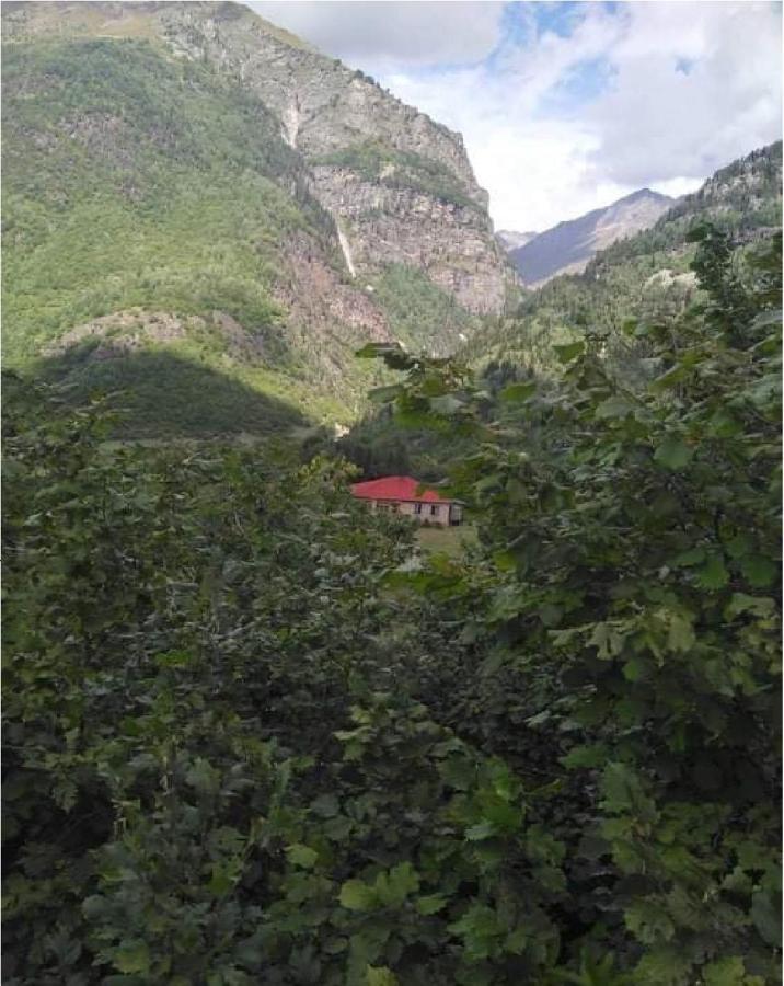 Guest House Malkhaz Niguriani Zhabeshi Eksteriør billede