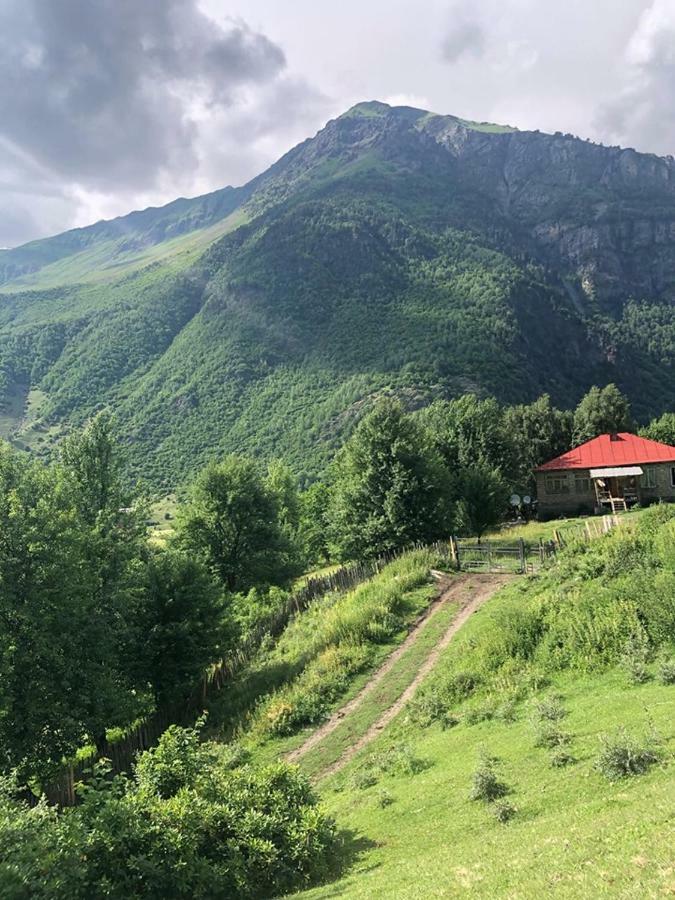 Guest House Malkhaz Niguriani Zhabeshi Eksteriør billede