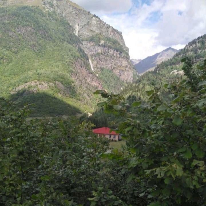 Guest House Malkhaz Niguriani Zhabeshi Eksteriør billede